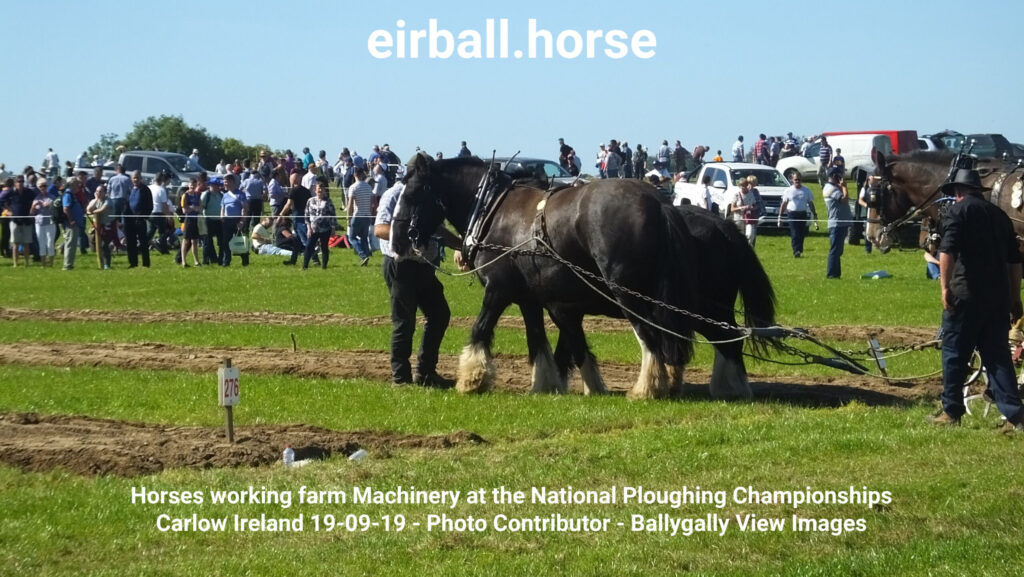 Ploughing Championships